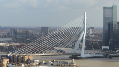 Finland en Noorwegen hebben inzending voor Rotterdam gekozen
